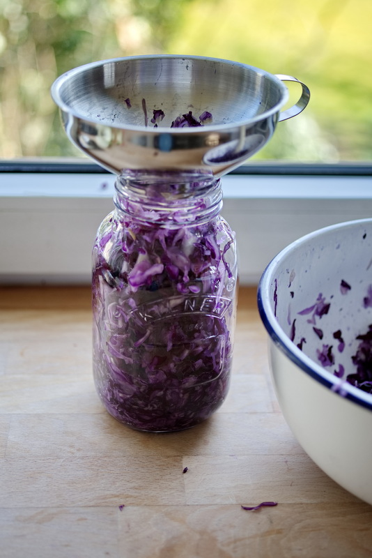 lila Kraut muss eine Woche fermentieren