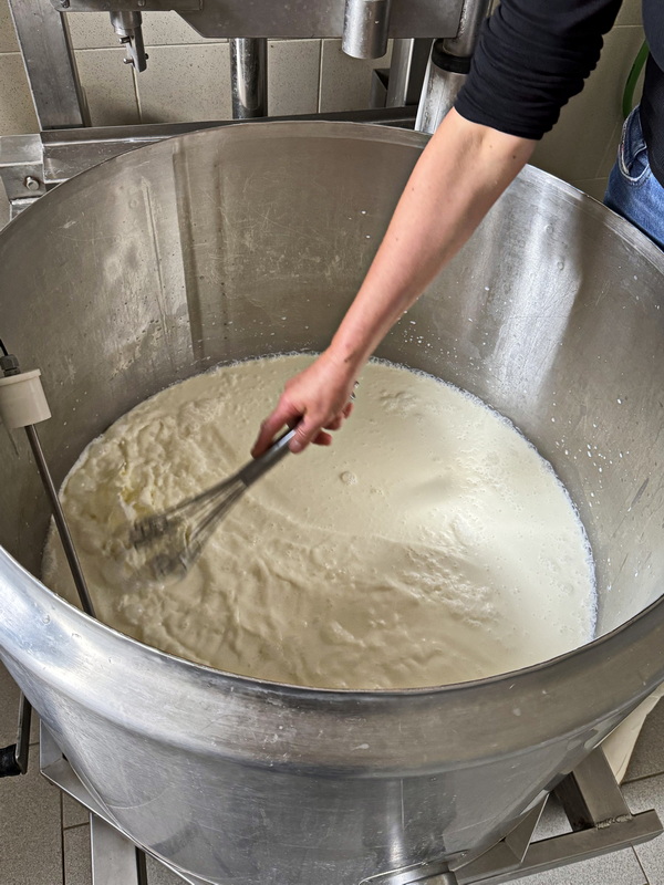 Rühren der Milch für den Mozzarella