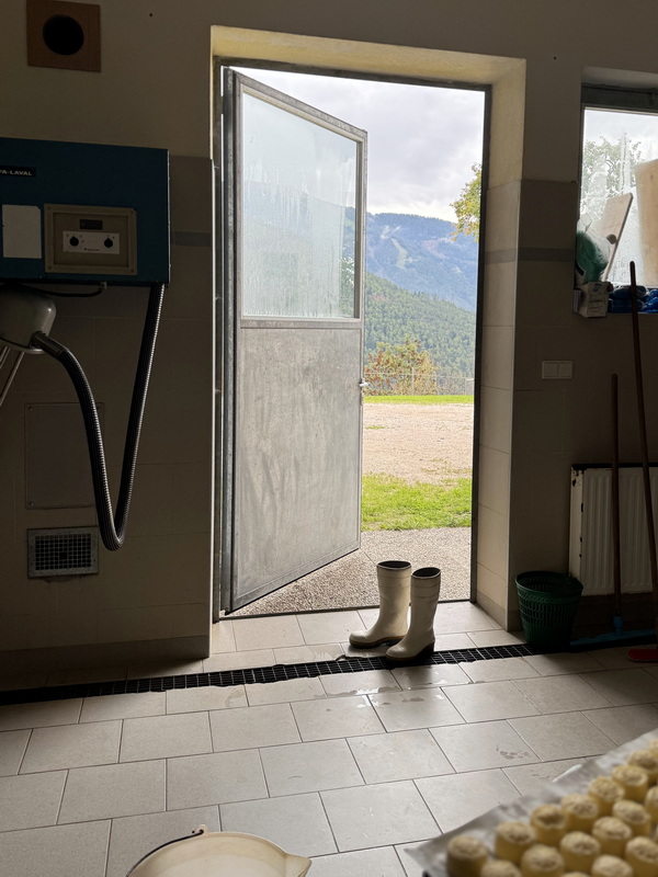 der Ausblick aus der Käsestube