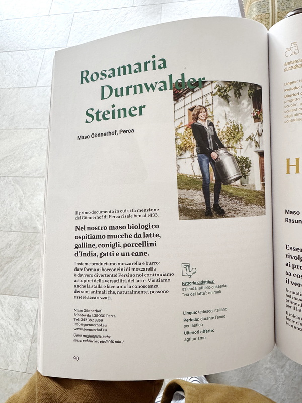 Ein Bericht über Rosi Steiner