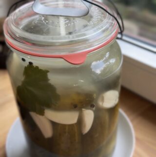 Gurken fermentieren